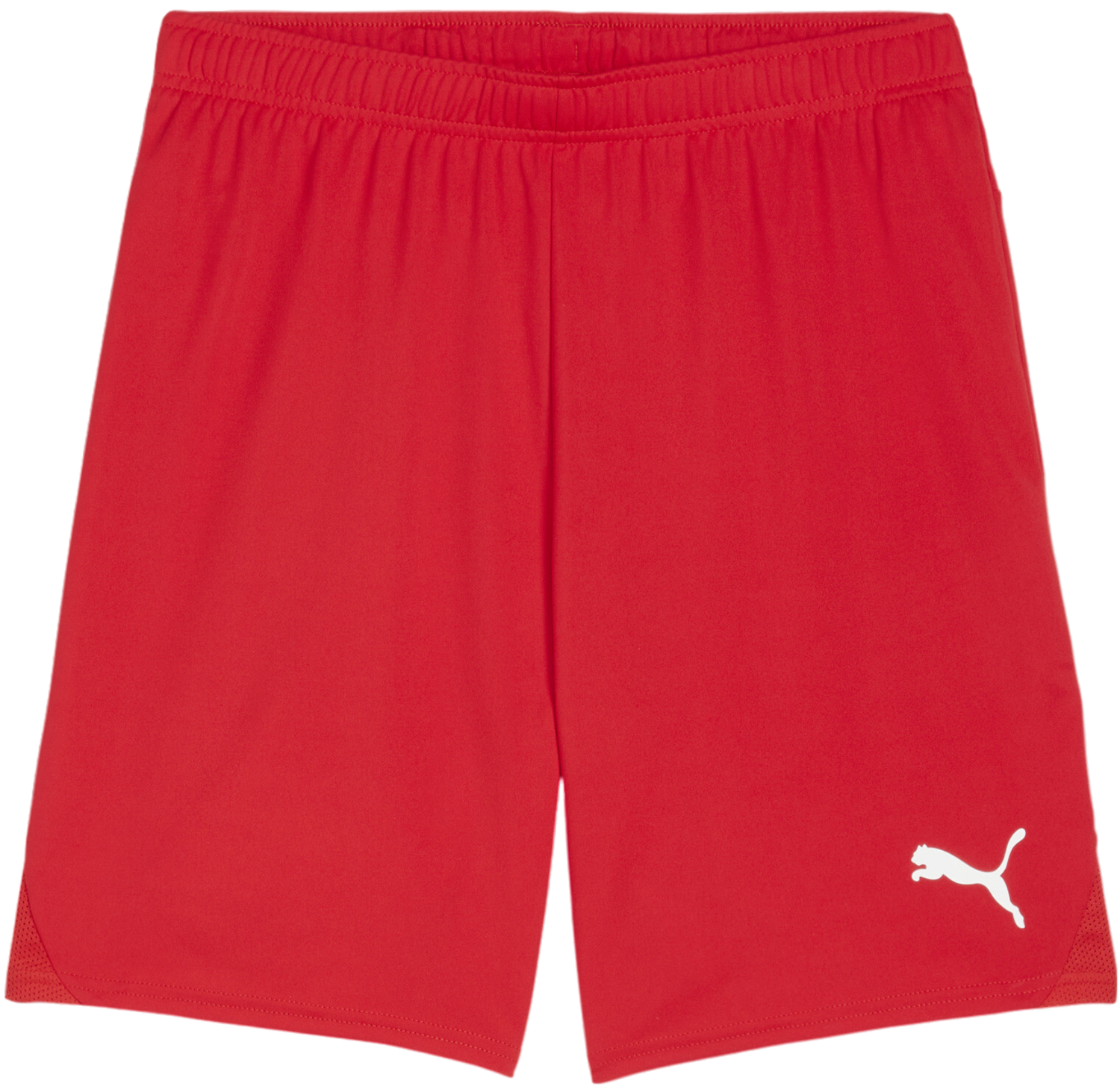 Shorts Puma teamGOAL Shorts Rød | 705752-01, 0