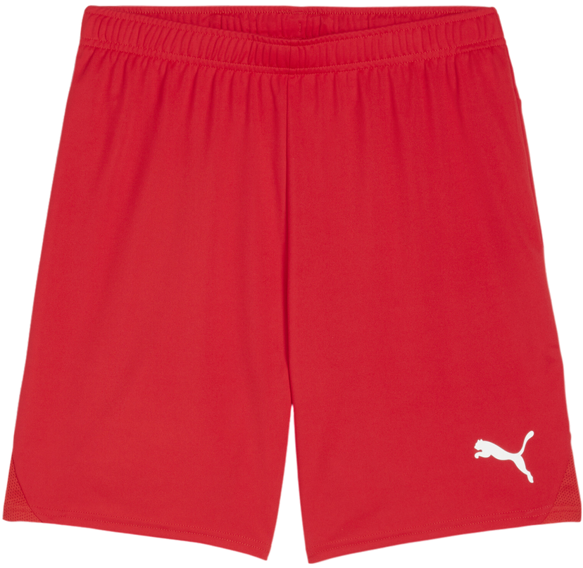Shorts Puma teamGOAL Shorts Rød | 705752-01