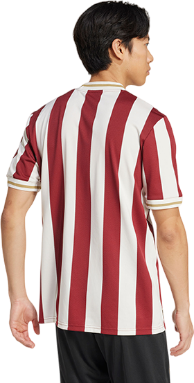 Jersey adidas Originals 1. FC Nürnberg 125th Anniversary Special Jersey by adidas Originals Rød | 5fcnjg6350, 5