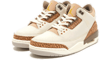 Sneakers og sko Jordan Air Jordan 3 Retro "Palomino" GS Beige | DM0967-102, 3