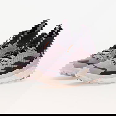 Sneakers og sko adidas Performance Terrex Free Hiker 2 W Prlofi/ Aurbla/ Silver Dawn Lilla | IG8896, 5