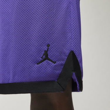 Shorts Jordan Sport DNA Mesh Shorts Lilla | DM1414-579, 3