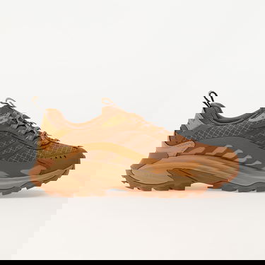 Sneakers og sko Merrell 1TRL Moab Speed 2 Gtx Bl Se Spice Brun | J006653, 2