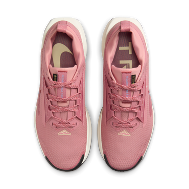 Sneakers og sko Nike Pegasus Trail 5 GORE-TEX Lyserød | FQ0912-602, 2