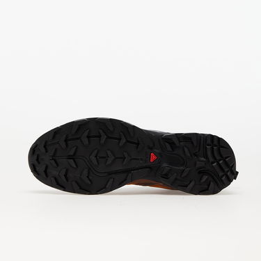 Sneakers og sko Salomon XT-6 Expanse Brun | 417053, 4