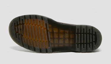 Sneakers og sko Dr. Martens 1460 Pascal Leather Ankle Brun | DM24993257, 6