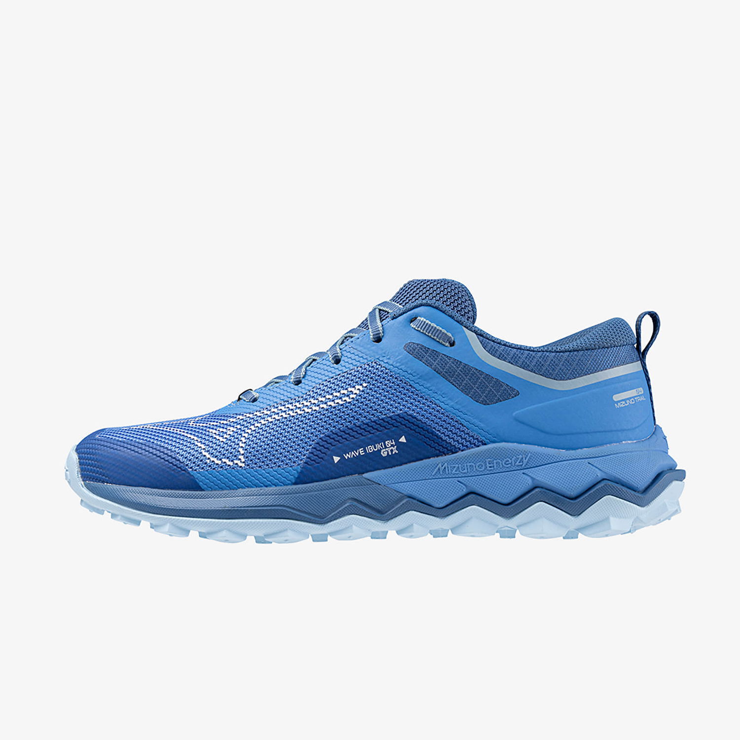 Sneakers og sko Mizuno Wave Ibuki 4 GTX Blå | J1GK225982, 0