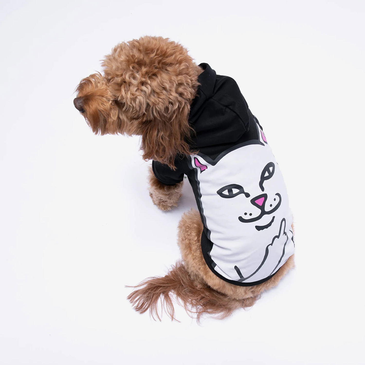 Flexstyle RIPNDIP Lord Nermal Pet Hoodie Black Sort | RND9676 NEW EAN, 0