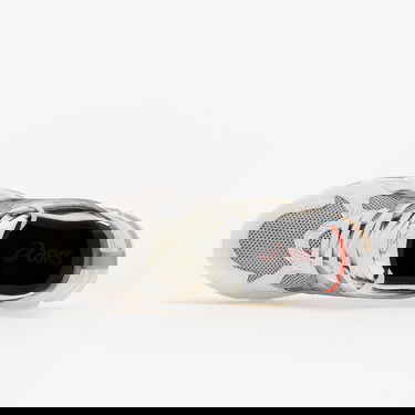 Sneakers og sko Asics AWAKE x Gel-Kayano 21 Grå | 1201A459-020, 2