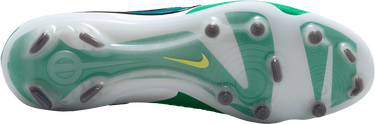 Sneakers og sko Nike LEGEND 10 ELITE FG LV8 Grøn | hj7272-300, 2