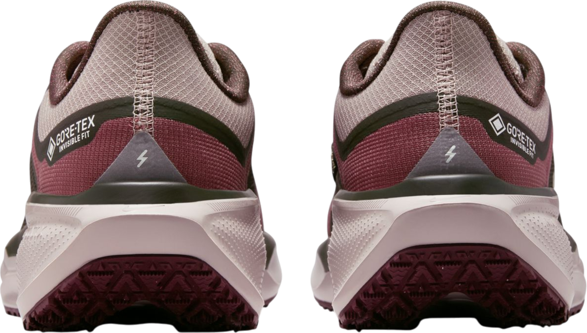 Sneakers og sko Nike Pegasus 41 GORE-TEX Bourgogne | fq1357-200, 1