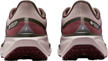 Sneakers og sko Nike Pegasus 41 GORE-TEX Bourgogne | fq1357-200, 1