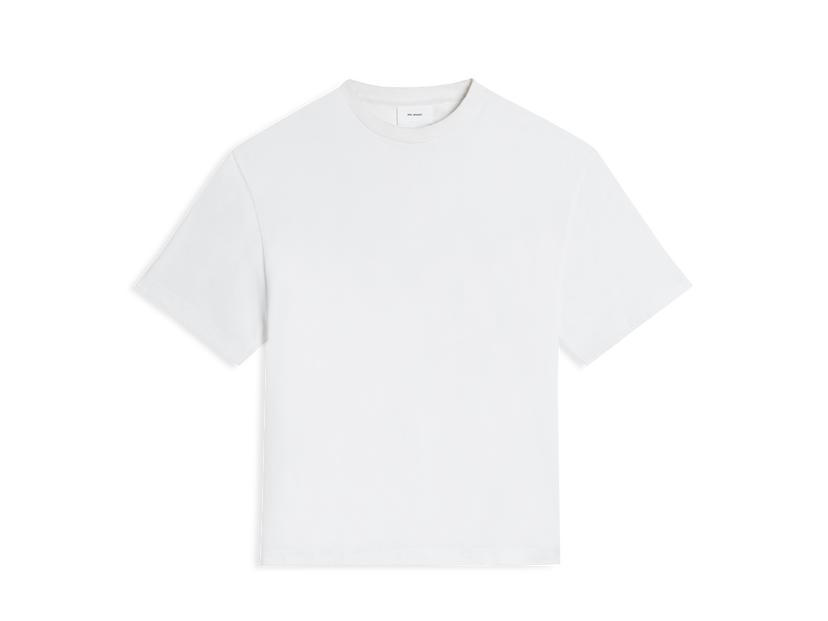 T-shirt AXEL ARIGATO Series Distressed T-Shirt Grå | A2199003