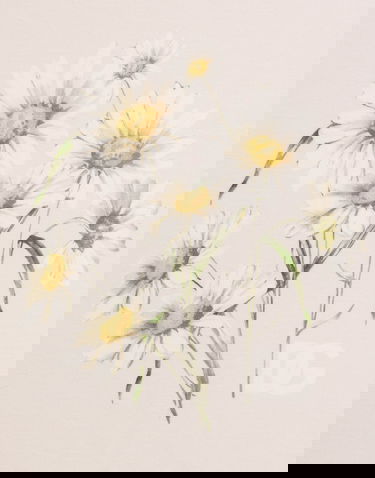 Tøj og tilbehør Dolce & Gabbana Dolce & Gabbana Daisy-Print Interlock Baby Blanket Beige | LNJAE7II7IOHF5RI, 2