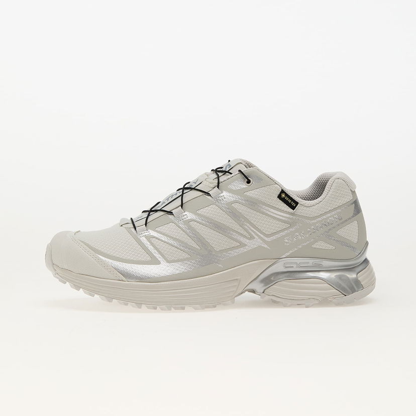 Sneakers og sko Salomon XT-Pathway GTX Beige | L47730900