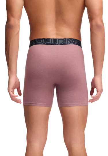 Boksere Under Armour Under Armour SOLID 6in 3 Pack Boxer Shorts Flerfarvet | 1383889-651, 4