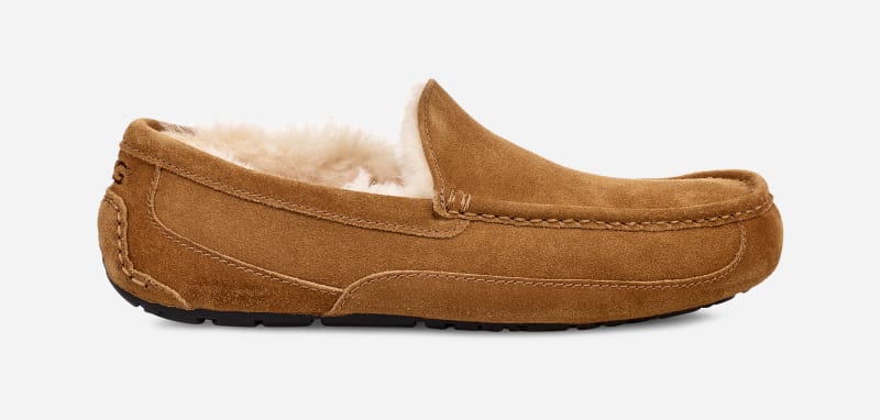 Sneakers og sko UGG ® Ascot Slipper in Brown, Size 10, Leather Brun | 1101110W-CHE, 0