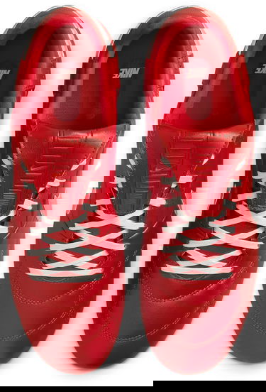 Sneakers og sko Nike THE PREMIER III FG Rød | at5889-600, 3