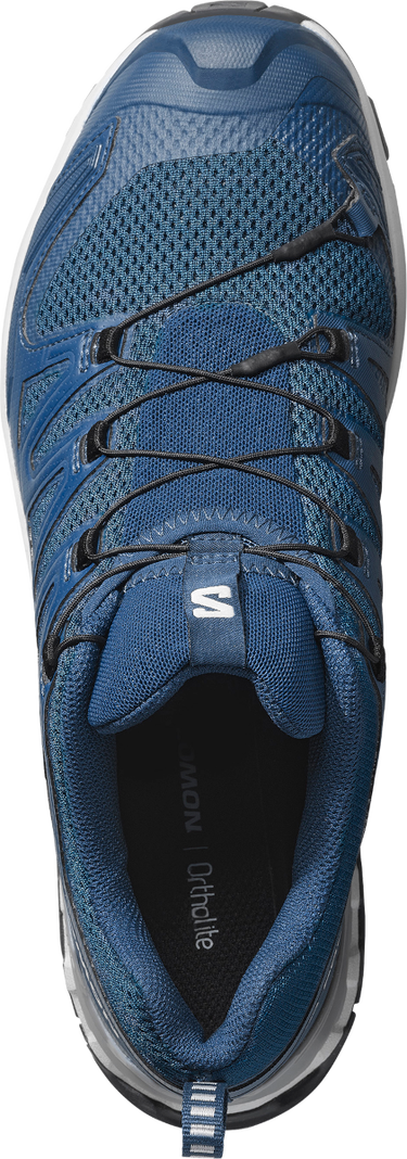 Sneakers og sko Salomon XA PRO 3D V9 Blå | l47817-800, 3