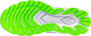 Sneakers og sko Mizuno WAVE SKYRISE 6 Blå | j1gc2509-02, 1
