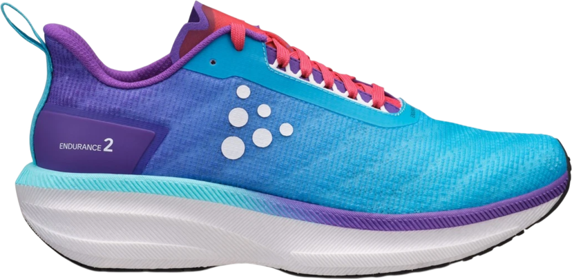 Sneakers og sko Craft Craft ENDURANCE 2 Flerfarvet | 1914833-346759