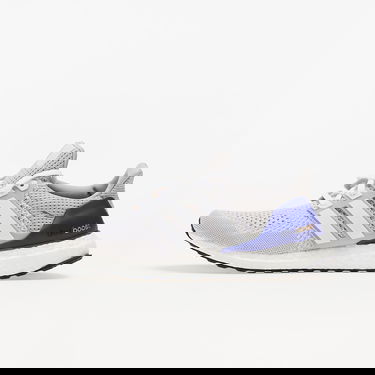Sneakers og sko adidas Performance UltraBOOST 1.0 DNA Grå | GZ0448, 0