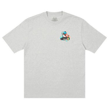 T-shirt Palace Tri-Flag T-Shirt Grå | P20TS091, 0