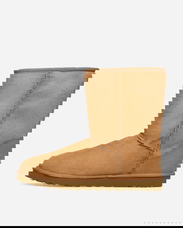 Sneakers og sko UGG Classic Chestnut Brun | 5800-CHE, 3