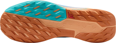 Sneakers og sko Nike Pegasus Trail 5 GORE-TEX Blå | fq0908-400, 3