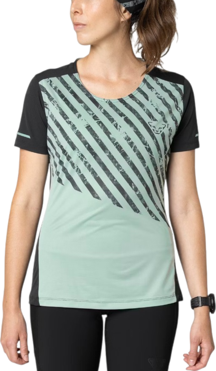 T-shirt Dynafit Dynafit Alpine 2 Short Sleeve T-Shirt Grøn | 08-0000071457-5421