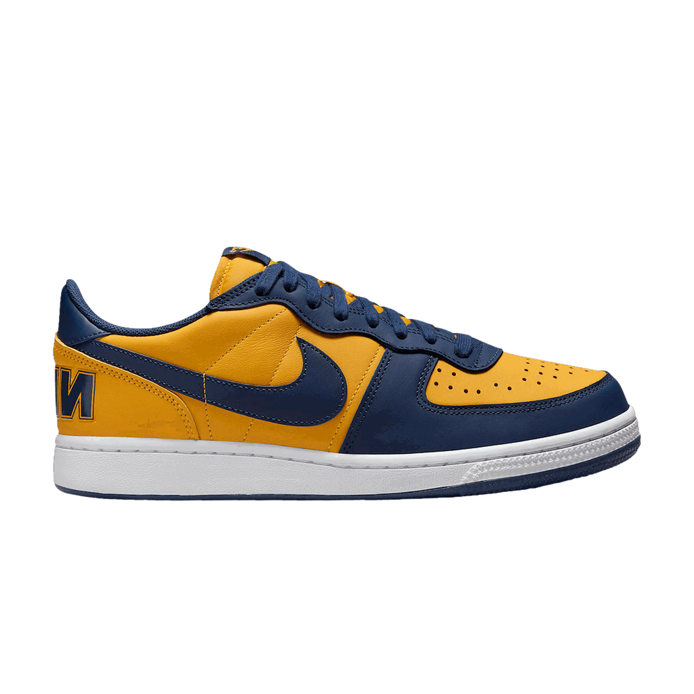Sneakers og sko Nike Terminator Low "Michigan" Gul | FJ4206-700, 1