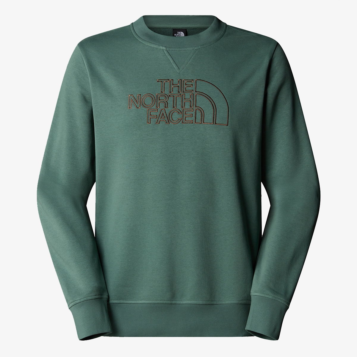 Sweatshirt The North Face Drew Peak Light Sweatshirt Grøn | NF0A8C1CAQI1, 0