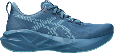 Sneakers og sko Asics NOVABLAST 5 Blå | 1011b974-405, 0