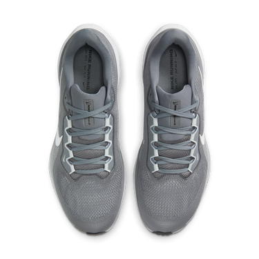Sneakers og sko Nike Pegasus 41 Grå | FD2722-009, 4