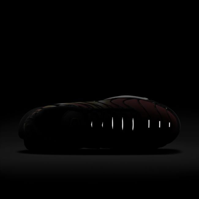 Sneakers og sko Nike Air Max Plus Orange | DR8581-800, 1