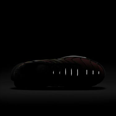 Sneakers og sko Nike Air Max Plus Orange | DR8581-800, 1