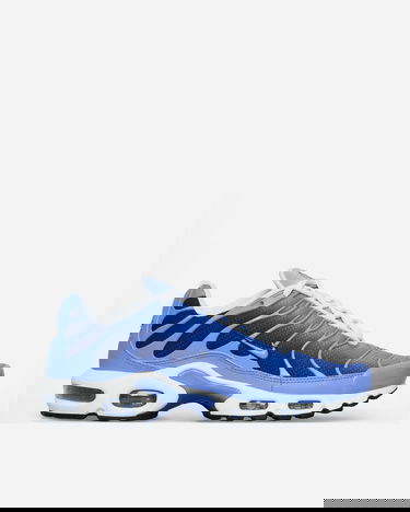 Sneakers og sko Nike Air Max Plus Royal Pulse Blå | DM0032-403, 0