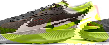 Sneakers og sko Nike Pegasus Trail 3 GTX "Dark Chocolate Volt" Grøn | do6728-200, 0