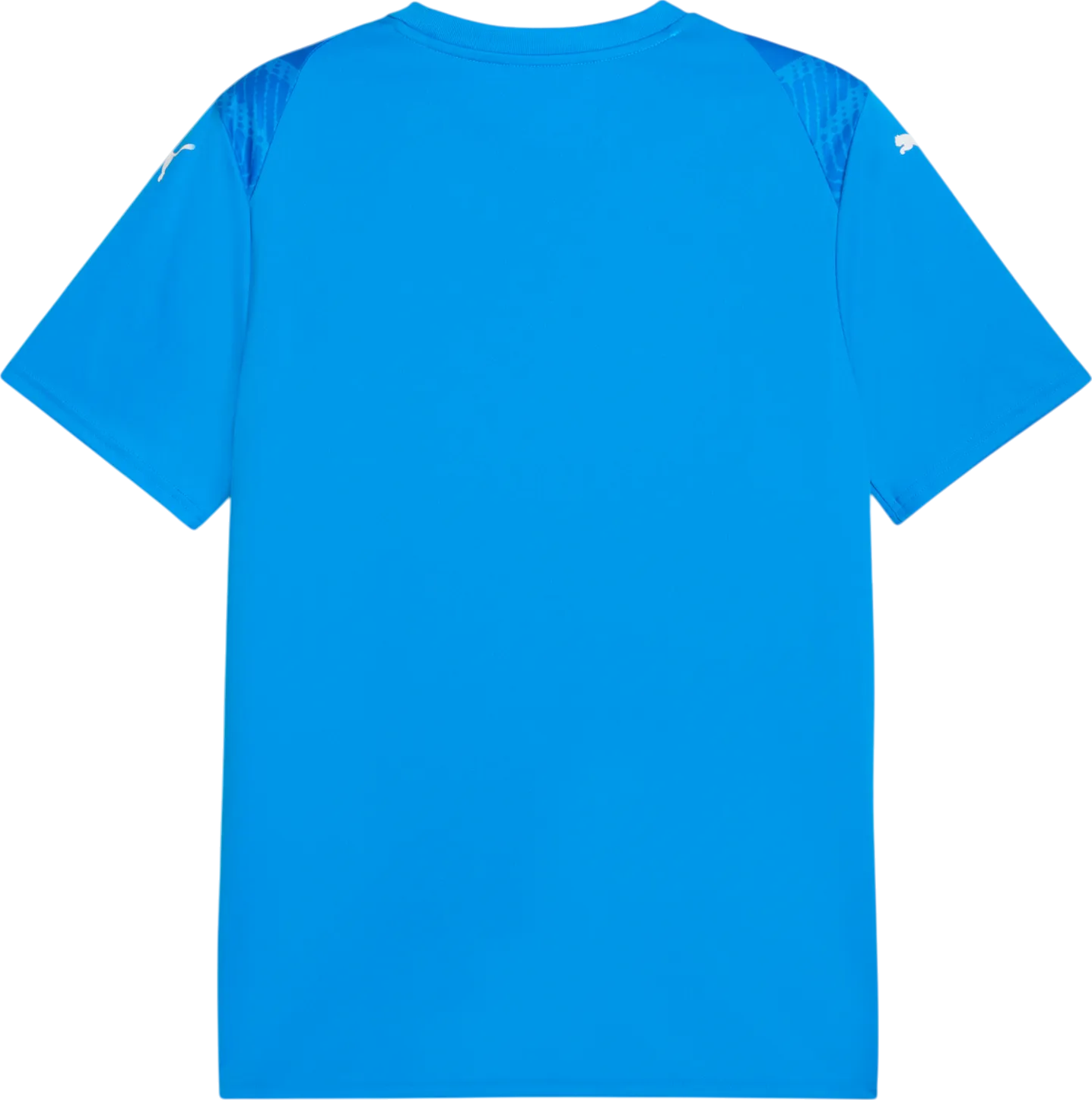 Jersey Puma Puma teamULTIMATE Jersey Blå | 706280-02, 1