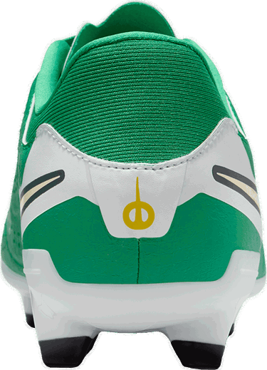 Sneakers og sko Nike LEGEND 10 ACADEMY FG LV8 Grøn | hj7268-300, 4