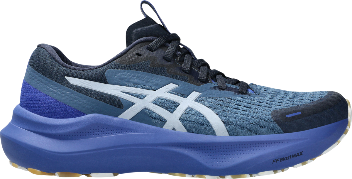Sneakers og sko Asics GT-2000 14 LITE-SHOW Blå | 1012b901-400, 0