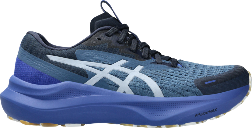 Sneakers og sko Asics GT-2000 14 LITE-SHOW Blå | 1012b901-400