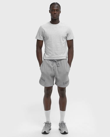 Shorts New Era NBA Waffle Short Los Angeles Lakers Grå | 60667891, 2