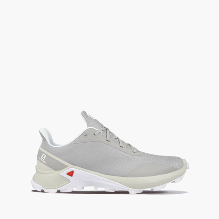 Sneakers og sko Salomon Alphacross Grå | 407981, 1