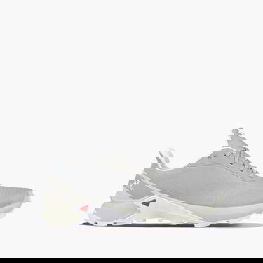 Sneakers og sko Salomon Alphacross Grå | 407981, 1