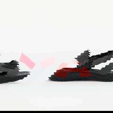 Sneakers og sko Nike ACG Air Deschutz Rød | DC9092-600, 1