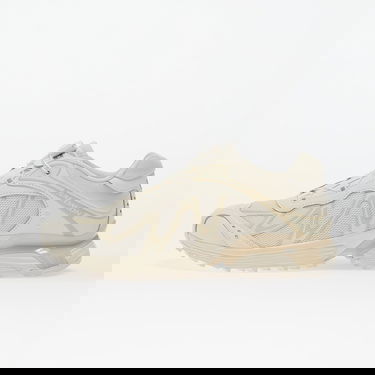 Sneakers og sko Salomon XT-WHISPER Beige | L47978900, 0