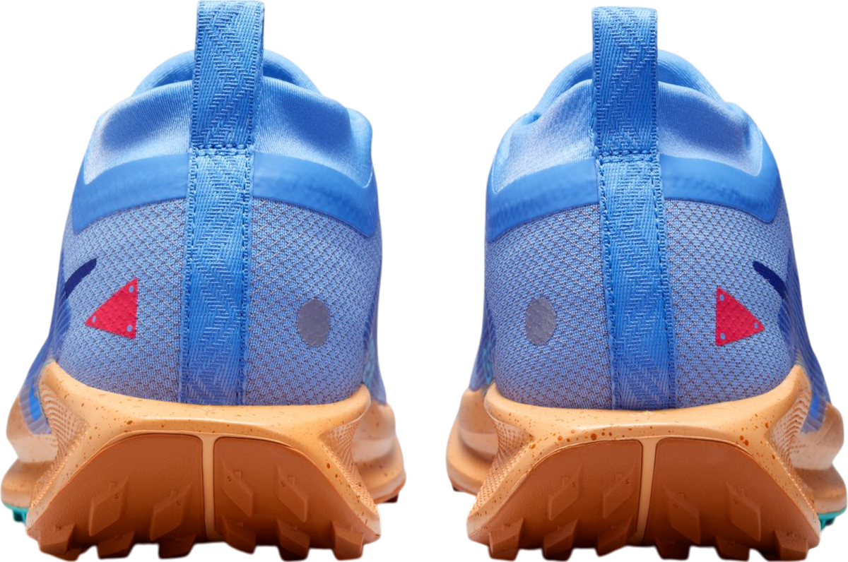 Sneakers og sko Nike Pegasus Trail 5 GORE-TEX Blå | fq0912-401, 1