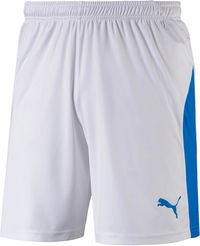 Puma LIGA Core Shorts