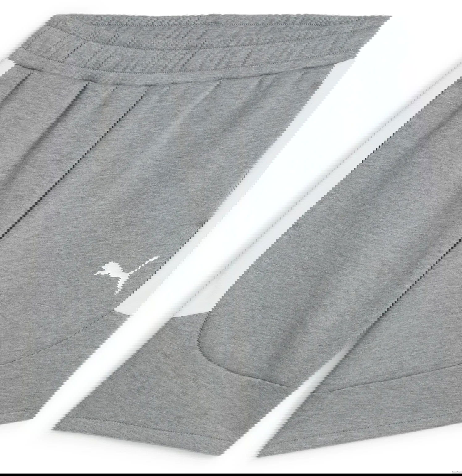 Shorts Puma teamEVOSTRIPE Shorts Grå | 659951-33, 0